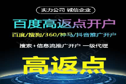 从小白到高手：百度竞价赚钱全记录
